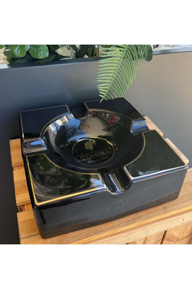 Cohiba Puro Küllüğü 21*21