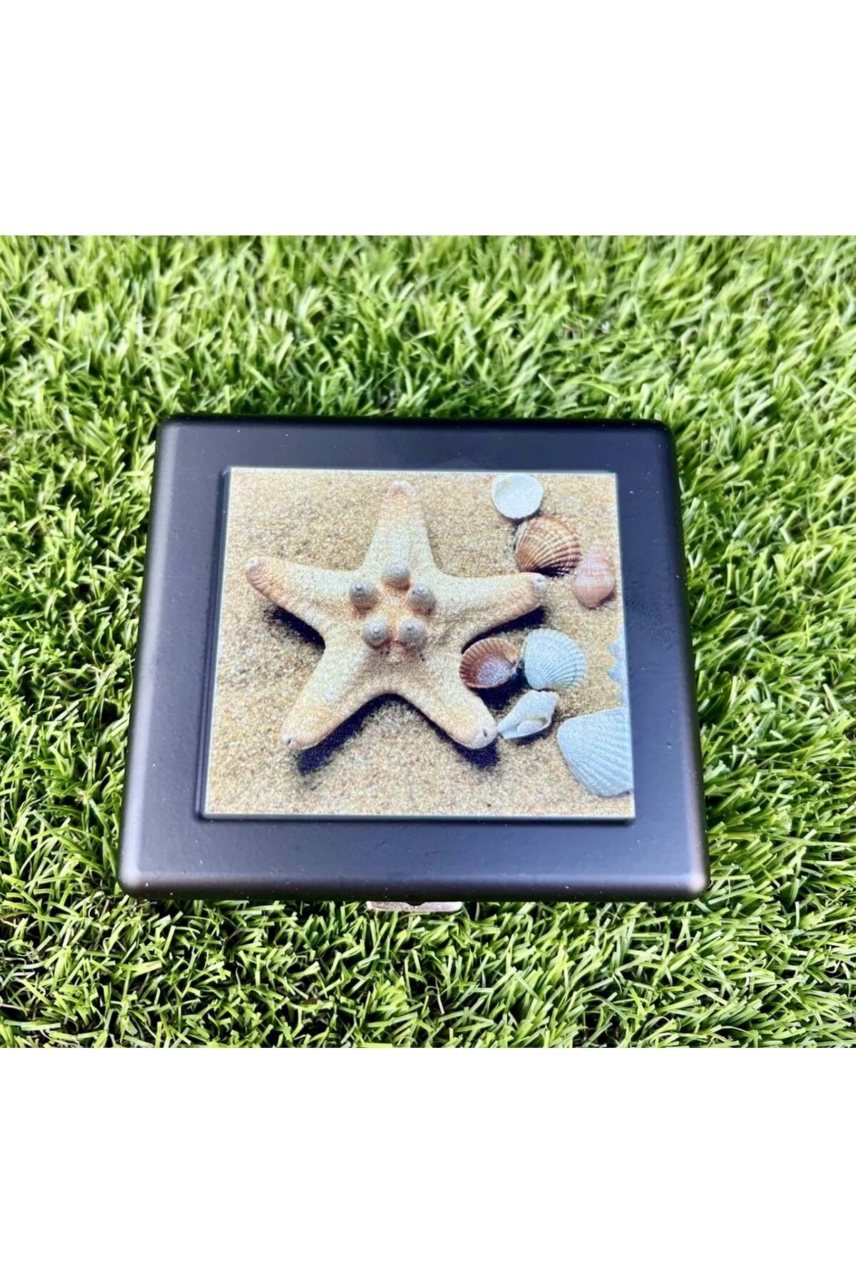 Dedo Siyah Metal Deniz Yıldızı Baskılı Tütün Kutusu