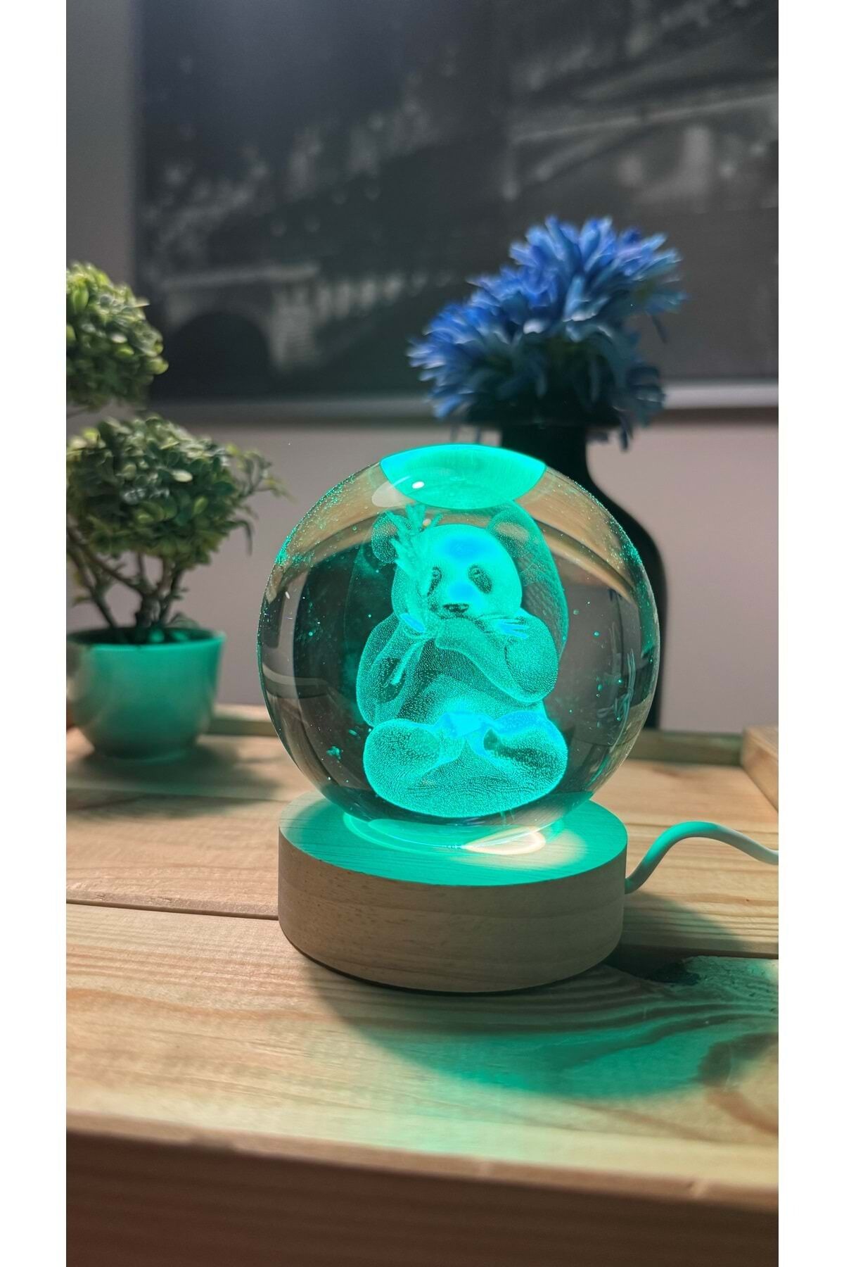 Panda 3d Işıklı Cam Küre