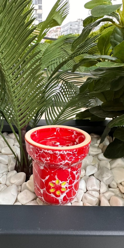 Solaris Eva Red White