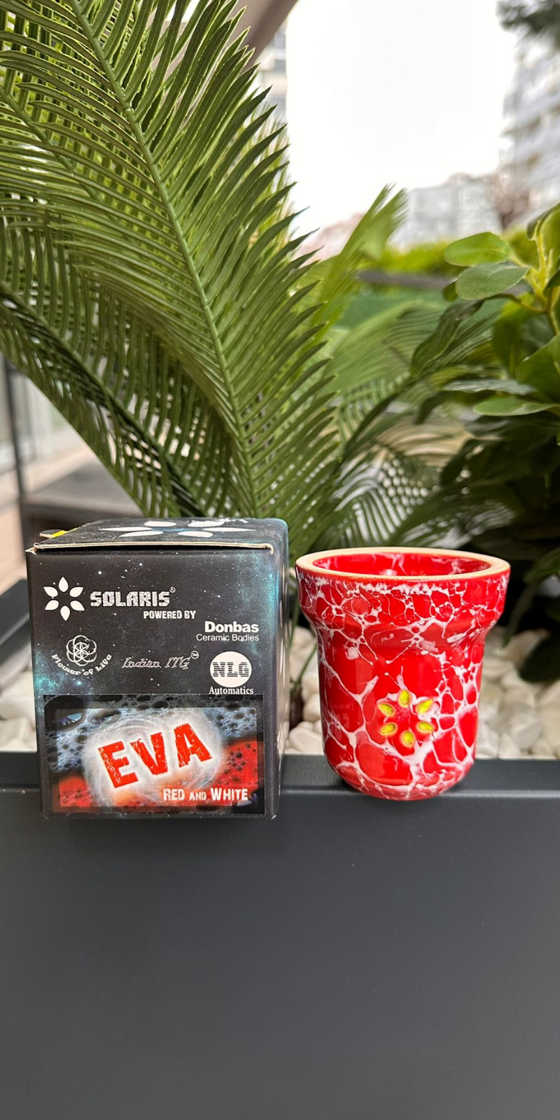 Solaris Eva Red White