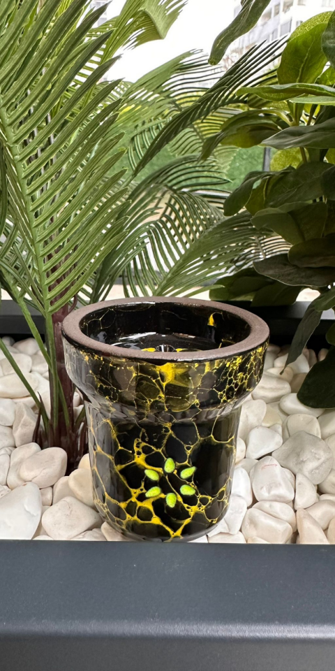 Solaris Adam Yellow And Black