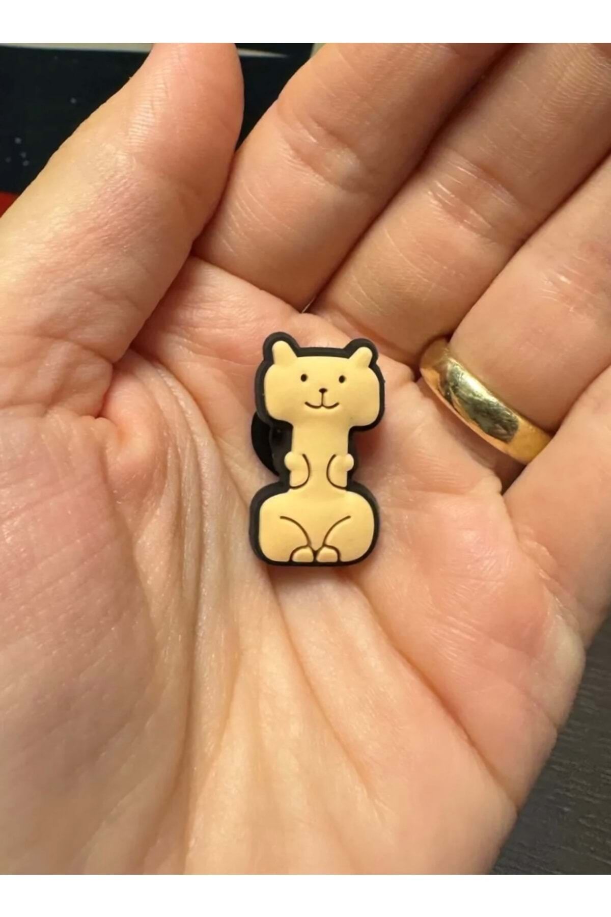 Terlik Süsü/Animal I Harfi