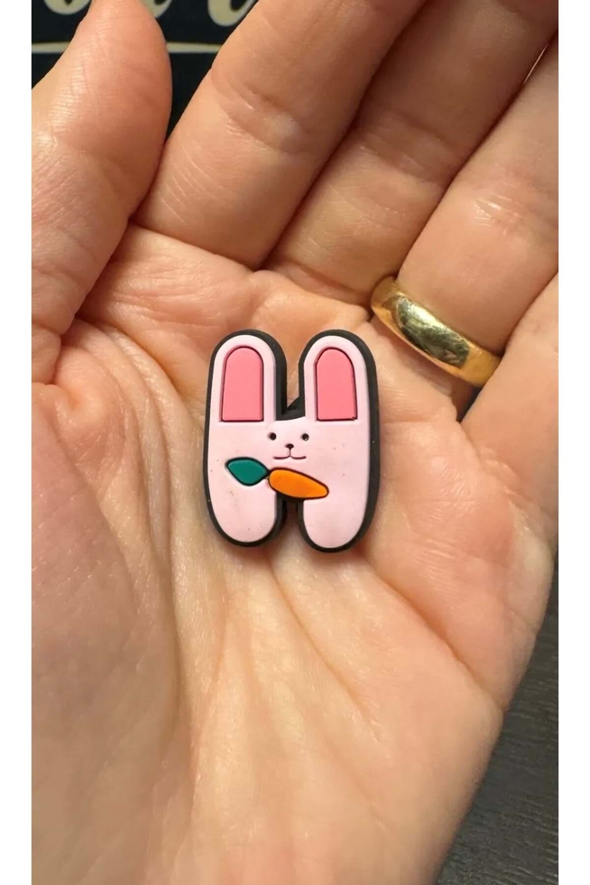 Terlik Süsü/Animal H Harfi