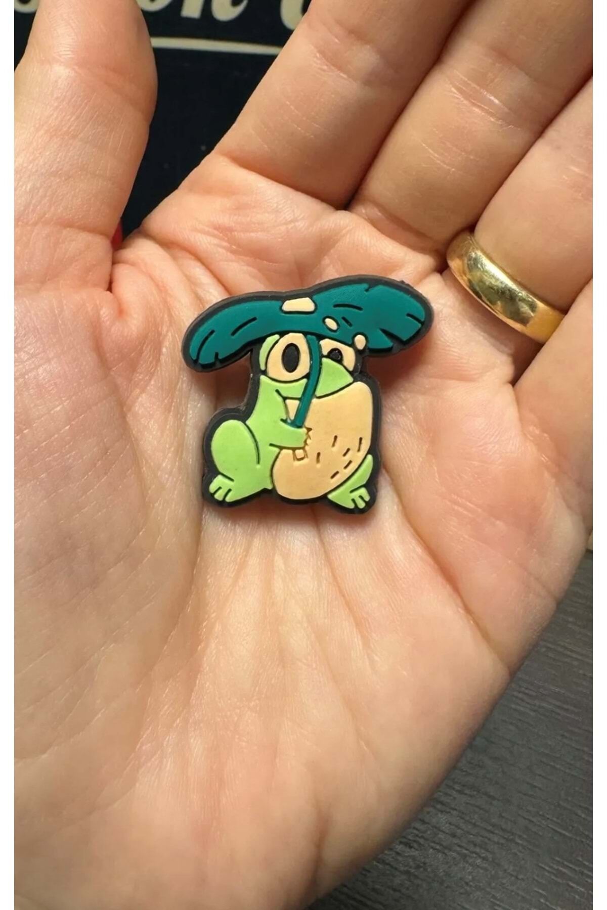 Terlik Süsü/Kurbağa