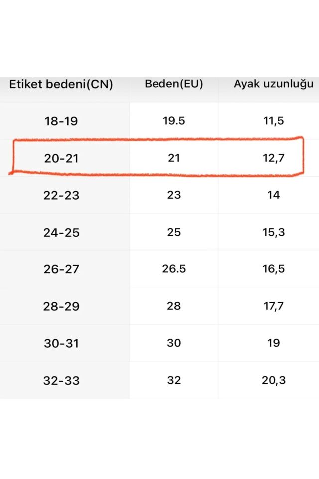 Dinozor Desenli Çocuk Ev Patiği