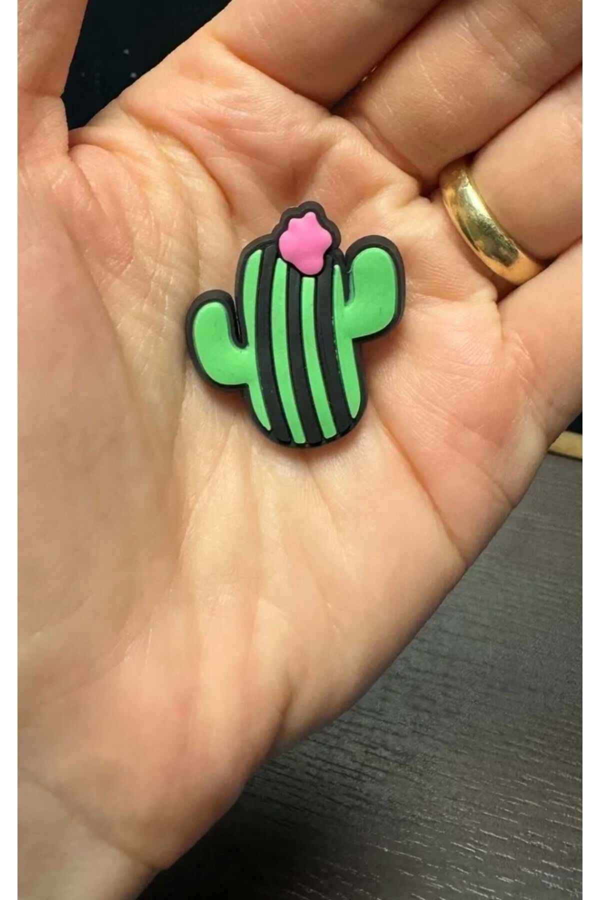 Terlik Süsü/Kaktüs