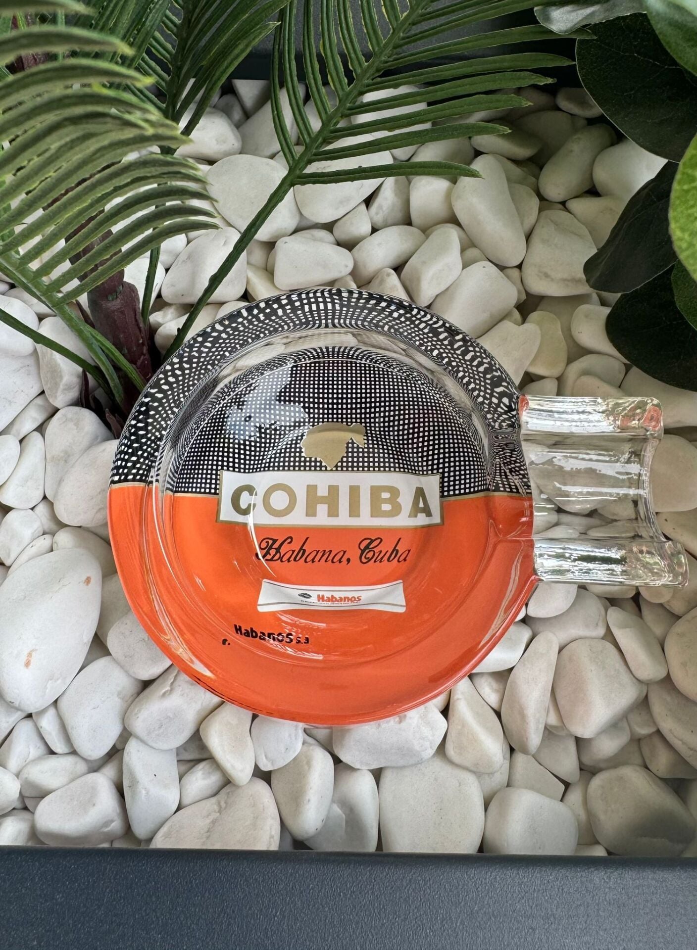 Cohiba Desenli Tekli Cam Puro Küllüğü