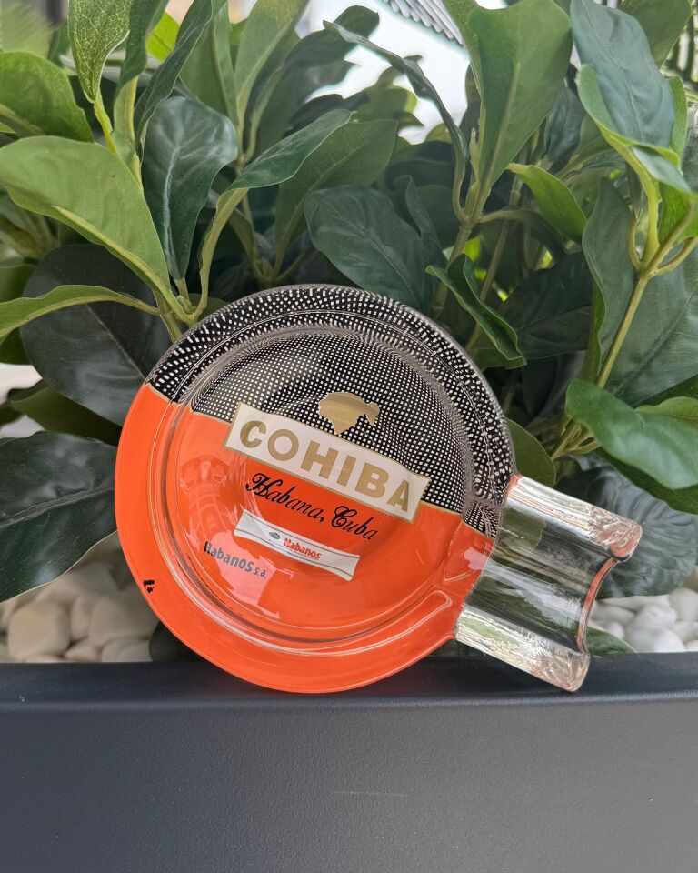 Cohiba Desenli Tekli Cam Puro Küllüğü