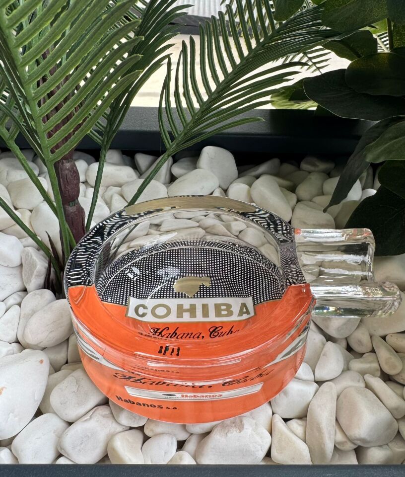 Cohiba Desenli Tekli Cam Puro Küllüğü