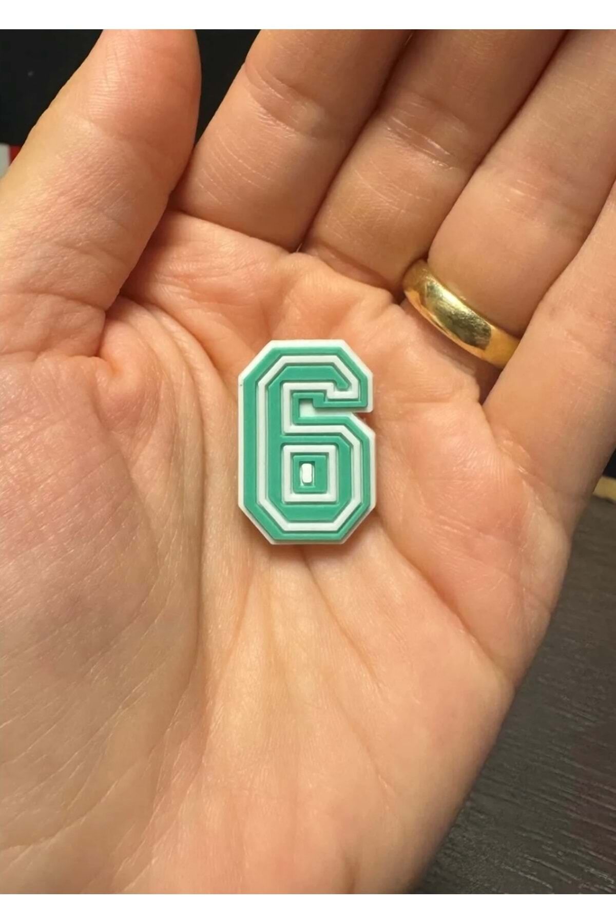 Terlik Süsü/6 Rakamı