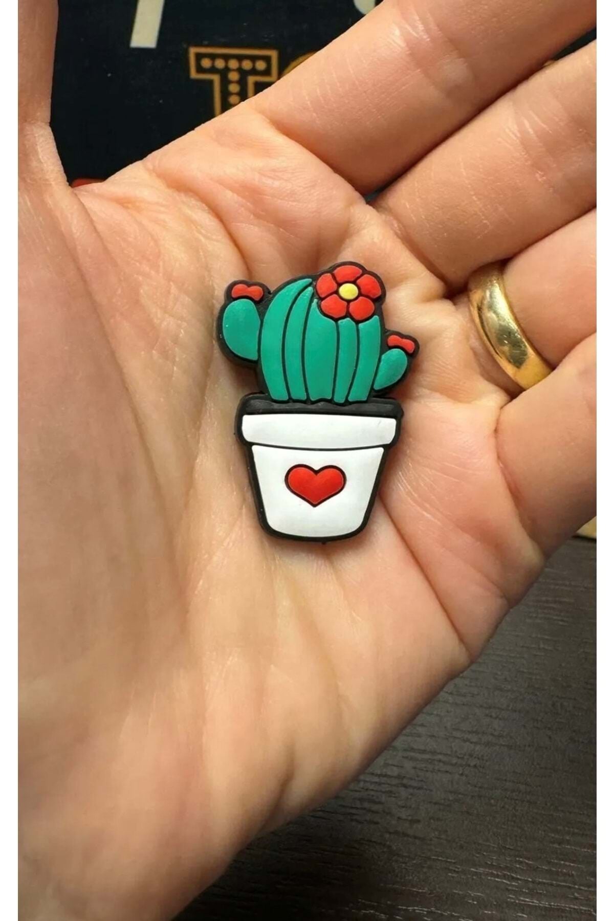 Terlik Süsü/Kaktüs Saksı Skulent