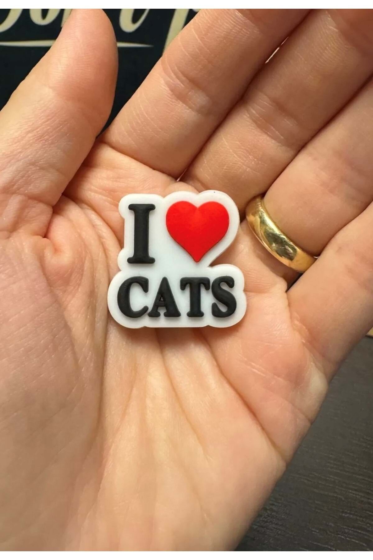 Terlik Süsü/I Love Cats