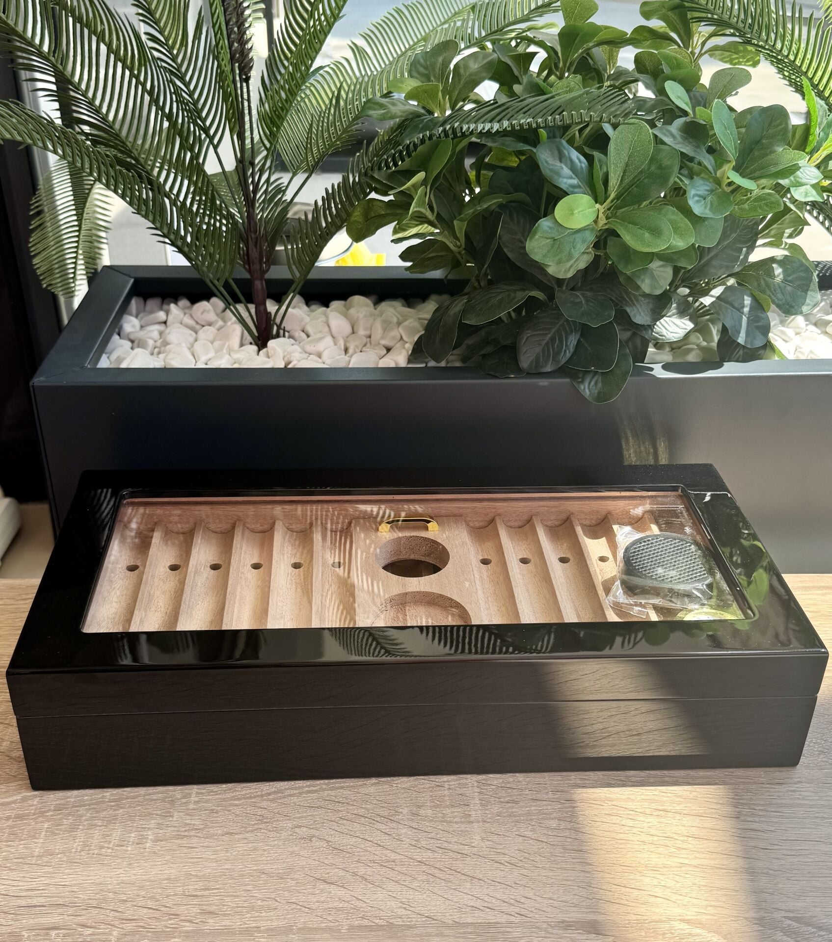 Parmida Humidor Puro Saklama Kutusu Sedir Humidor