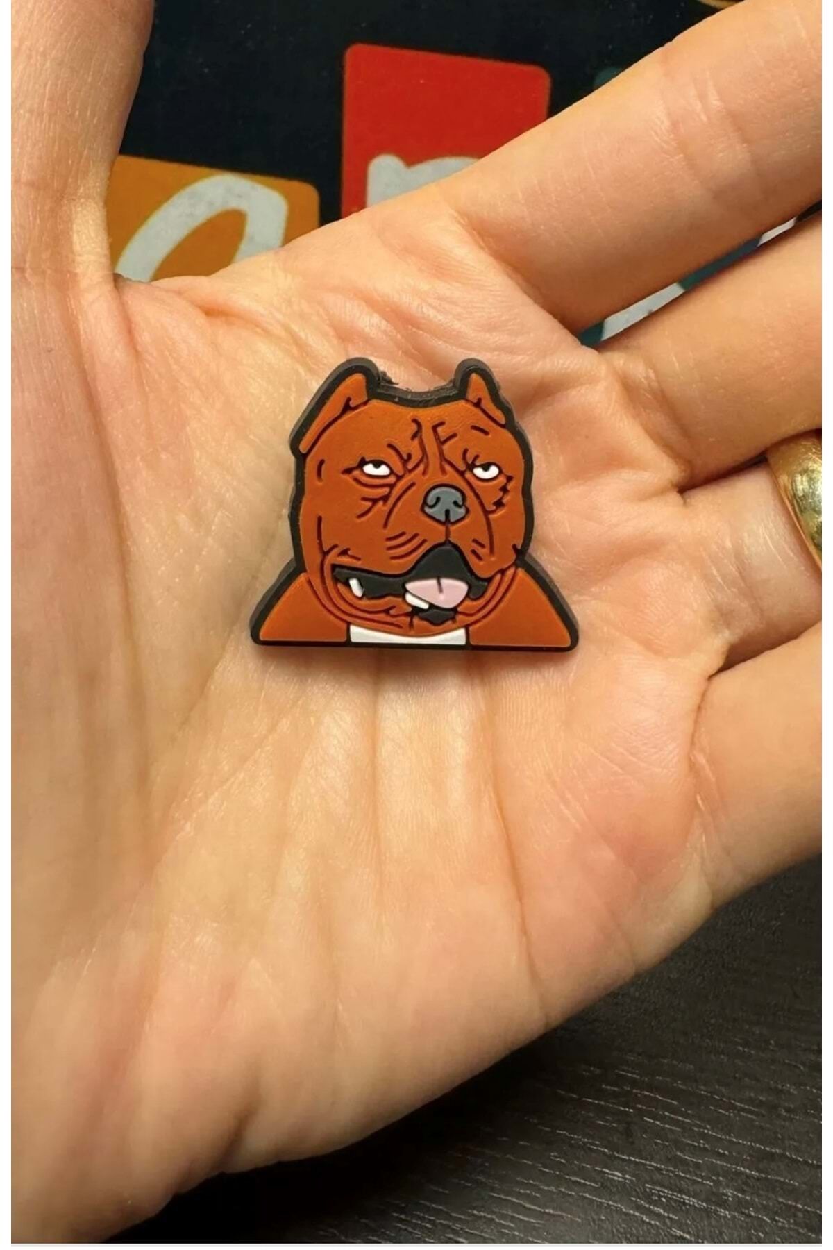 Terlik Süsü/Pitbull Köpek