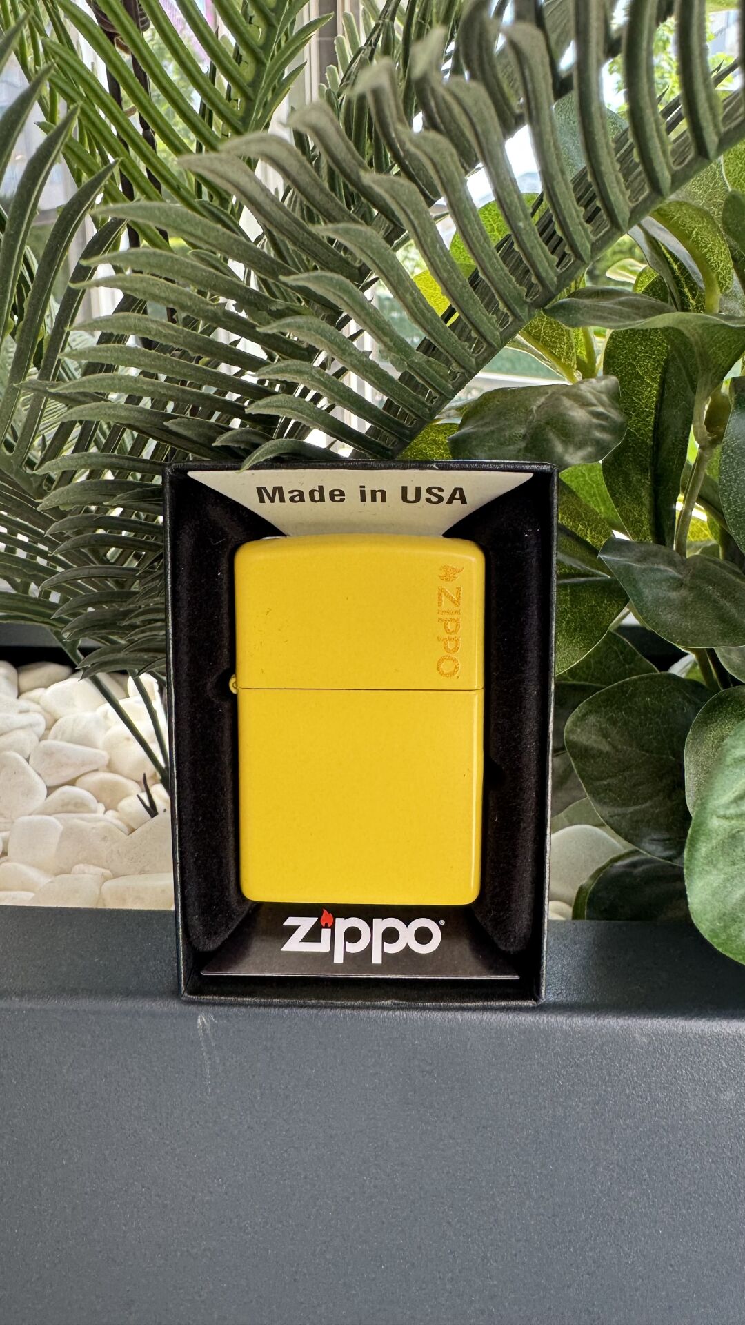 L Reg Sunflower Yellow W Zippo Classic