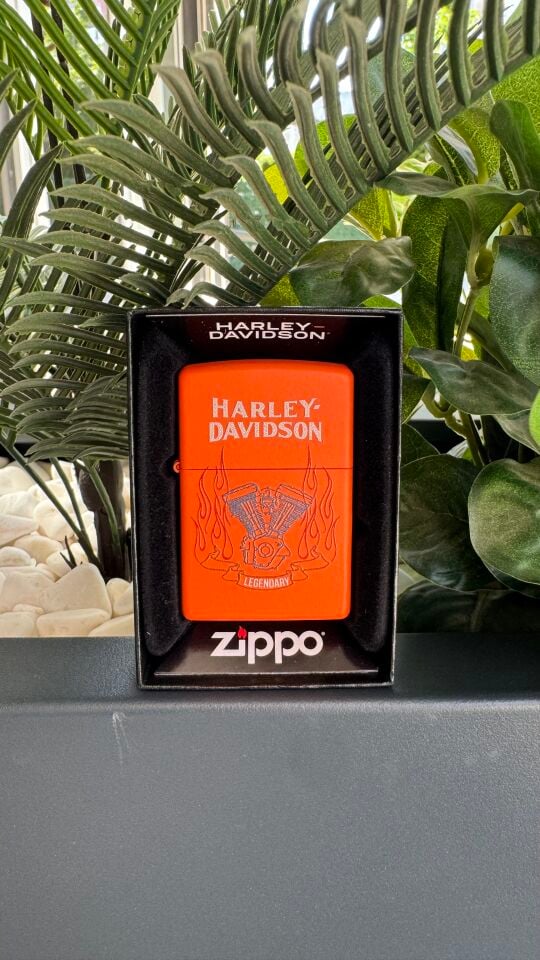 Harley-Davidson®