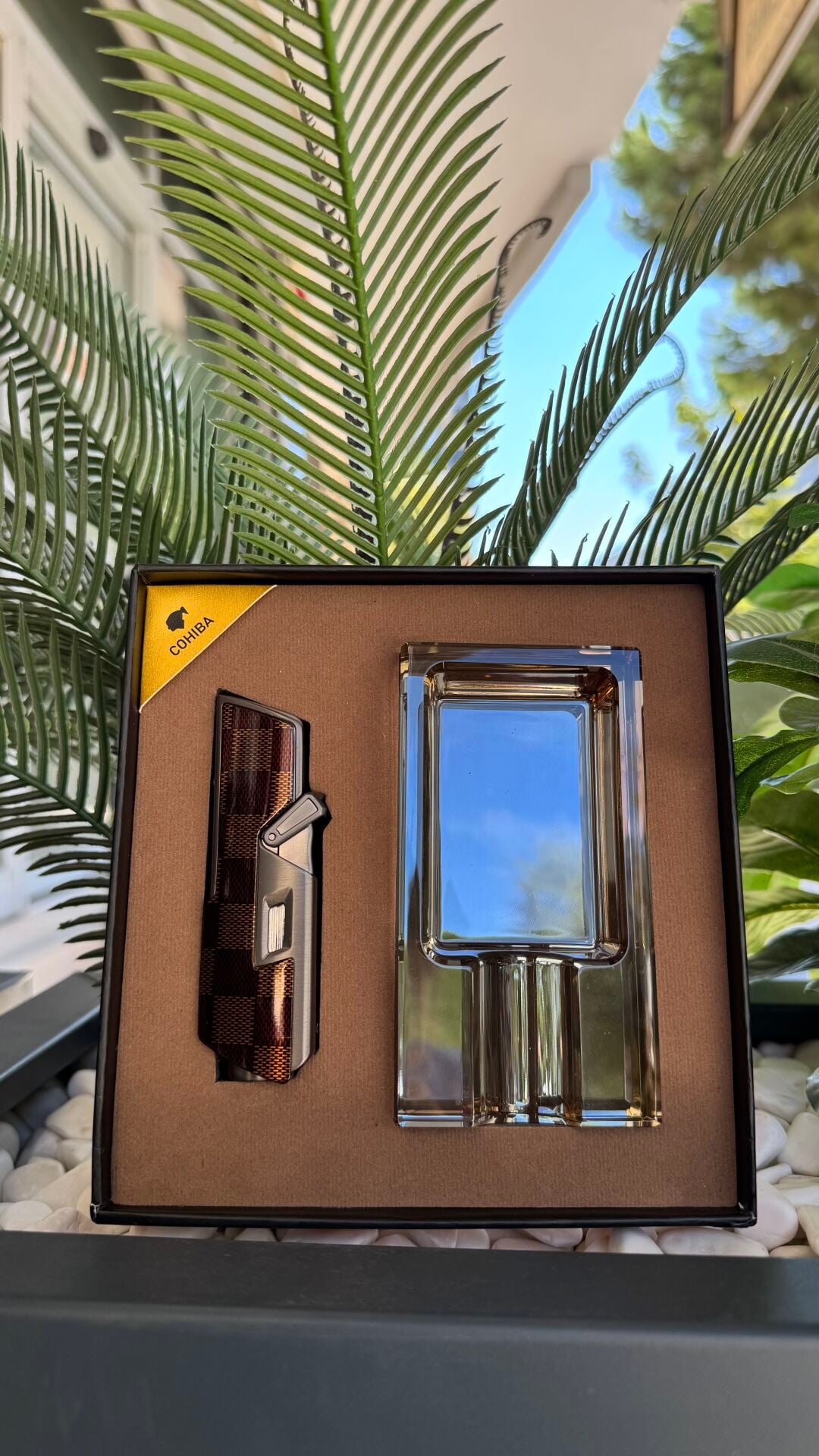 Cohiba Puro Seti